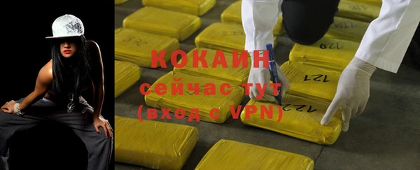 прущие грибы Краснослободск