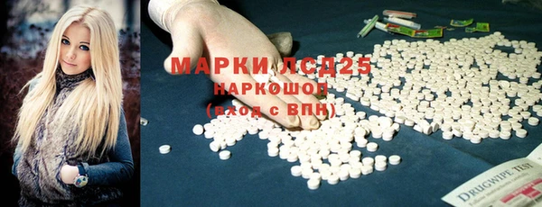 прущие грибы Краснослободск