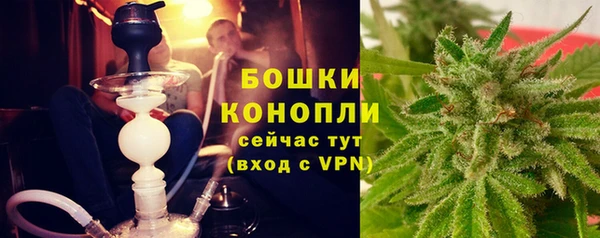 прущие грибы Краснослободск