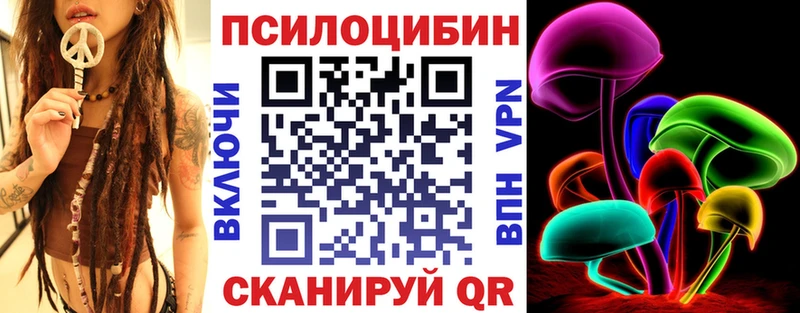 Купить где  Десногорск  Псилоцибиновые грибы Psilocybe 